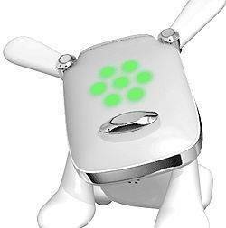 i dog1.jpg